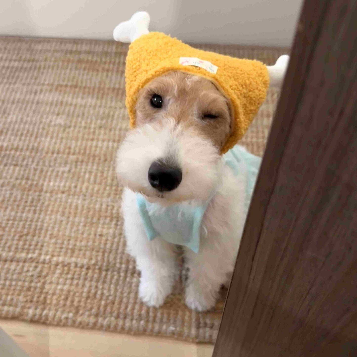 Chicken Legs, Dogs, Cats, Hats, Headsets, Pet Outdoor Accessories